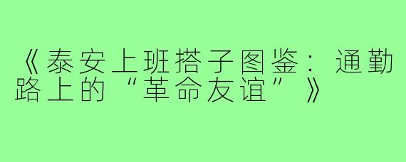 《泰安上班搭子图鉴：通勤路上的“革命友谊”》