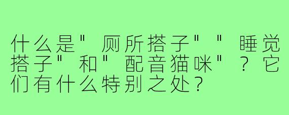 什么是"厕所搭子""睡觉搭子"和"配音猫咪"？它们有什么特别之处？