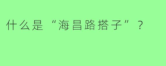 什么是“海昌路搭子”?