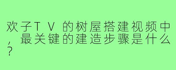 欢子TV的树屋搭建视频中，最关键的建造步骤是什么？