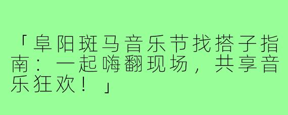 「阜阳斑马音乐节找搭子指南：一起嗨翻现场，共享音乐狂欢！」