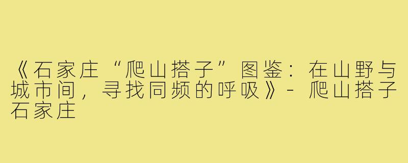 《石家庄“爬山搭子”图鉴:在山野与城市间,寻找同频的呼吸》-爬山搭子石家庄
