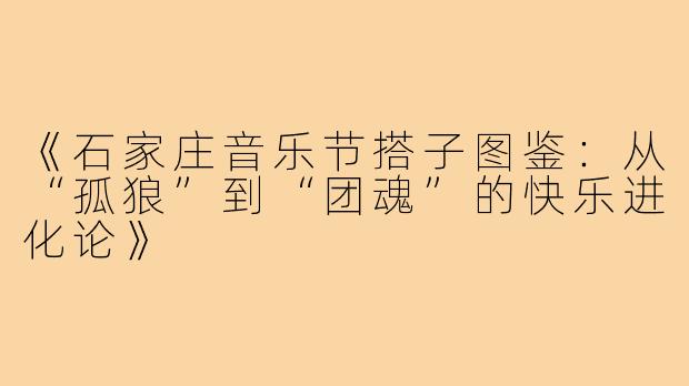 《石家庄音乐节搭子图鉴：从“孤狼”到“团魂”的快乐进化论》