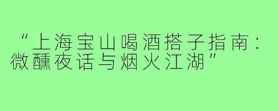 “上海宝山喝酒搭子指南：微醺夜话与烟火江湖”