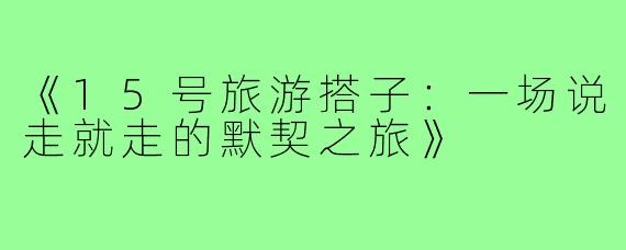 《15号旅游搭子：一场说走就走的默契之旅》