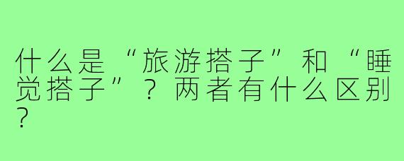 什么是“旅游搭子”和“睡觉搭子”？两者有什么区别？