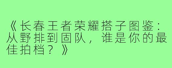 《长春王者荣耀搭子图鉴：从野排到固队，谁是你的最佳拍档？》