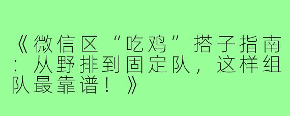 《微信区“吃鸡”搭子指南：从野排到固定队，这样组队最靠谱！》