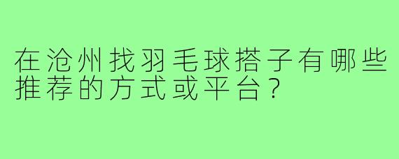 在沧州找羽毛球搭子有哪些推荐的方式或平台？