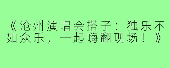 《沧州演唱会搭子：独乐不如众乐，一起嗨翻现场！》