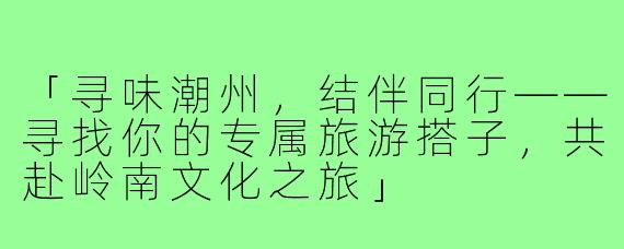 「寻味潮州，结伴同行——寻找你的专属旅游搭子，共赴岭南文化之旅」