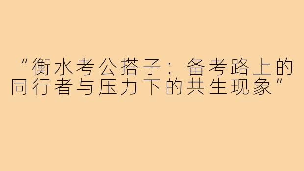 “衡水考公搭子：备考路上的同行者与压力下的共生现象”