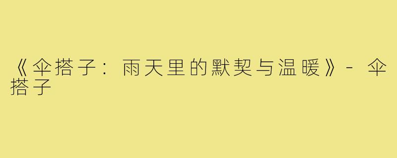 《伞搭子:雨天里的默契与温暖》-伞搭子