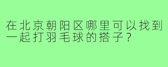 在北京朝阳区哪里可以找到一起打羽毛球的搭子?