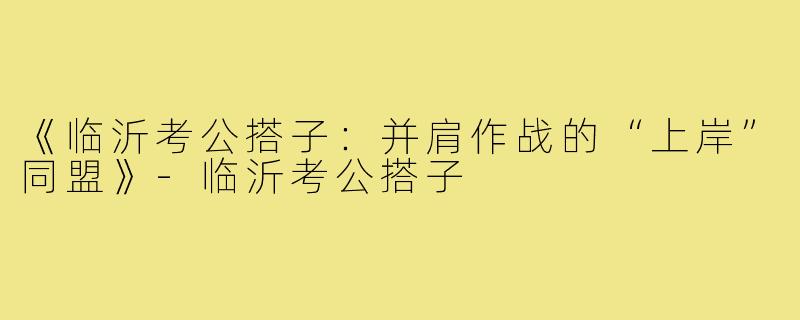 《临沂考公搭子：并肩作战的“上岸”同盟》-临沂考公搭子