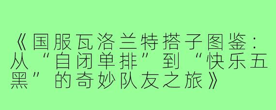 《国服瓦洛兰特搭子图鉴：从“自闭单排”到“快乐五黑”的奇妙队友之旅》