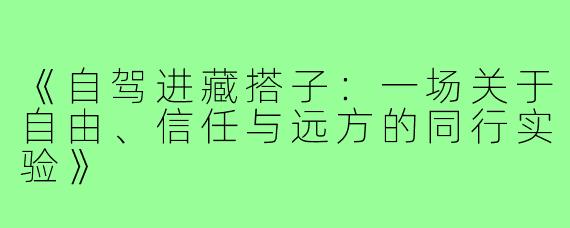 《自驾进藏搭子：一场关于自由、信任与远方的同行实验》