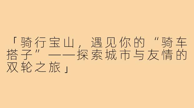「骑行宝山，遇见你的“骑车搭子”——探索城市与友情的双轮之旅」