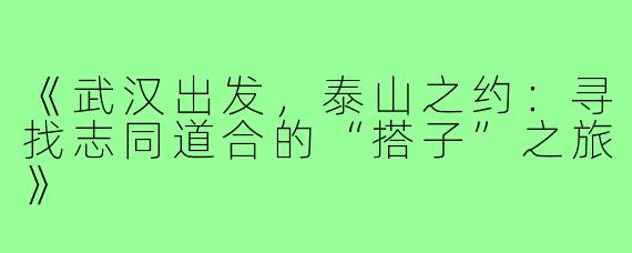 《武汉出发，泰山之约：寻找志同道合的“搭子”之旅》