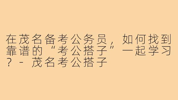 在茂名备考公务员，如何找到靠谱的“考公搭子”一起学习？
