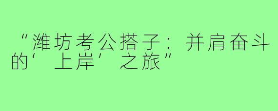 “潍坊考公搭子：并肩奋斗的‘上岸’之旅”