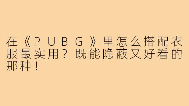 在《PUBG》里怎么搭配衣服最实用?既能隐蔽又好看的那种!