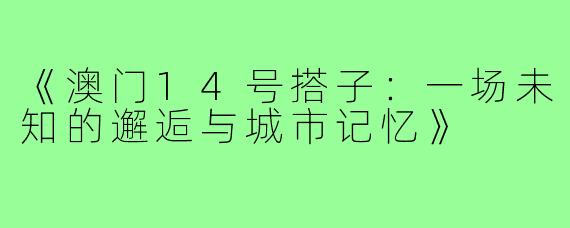 《澳门14号搭子：一场未知的邂逅与城市记忆》