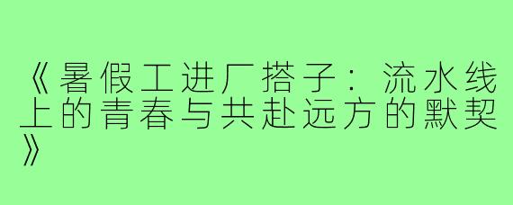 《暑假工进厂搭子：流水线上的青春与共赴远方的默契》