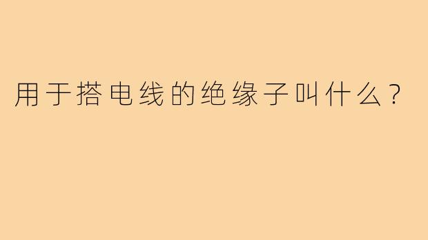 用于搭电线的绝缘子叫什么？