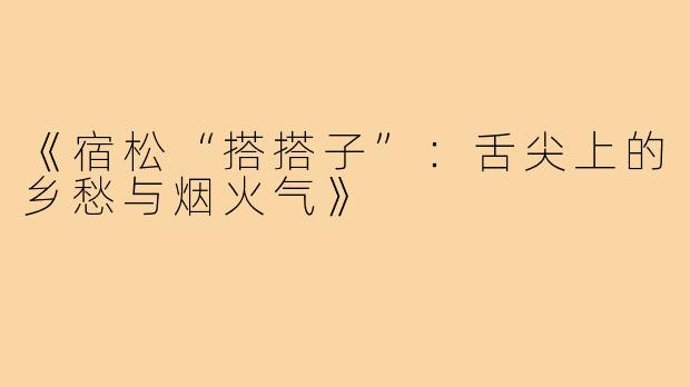 《宿松“搭搭子”:舌尖上的乡愁与烟火气》