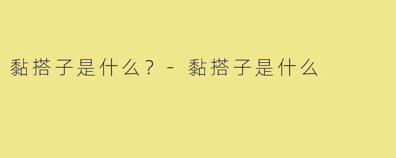 黏搭子是什么？