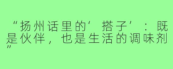 “扬州话里的‘搭子’：既是伙伴，也是生活的调味剂”