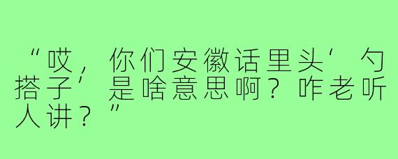 “哎，你们安徽话里头‘勺搭子’是啥意思啊？咋老听人讲？”