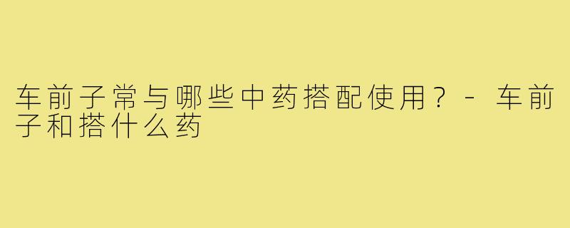 车前子常与哪些中药搭配使用？