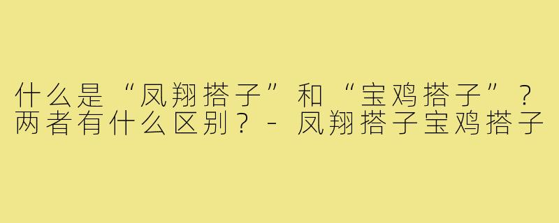 什么是“凤翔搭子”和“宝鸡搭子”？两者有什么区别？