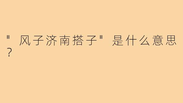 "风子济南搭子"是什么意思？