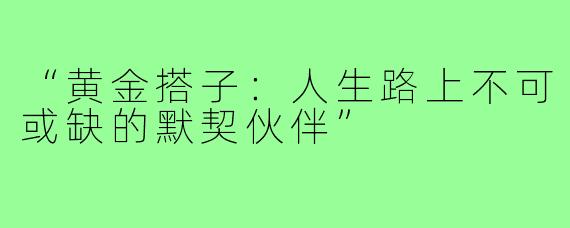 “黄金搭子:人生路上不可或缺的默契伙伴”