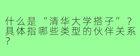什么是“清华大学搭子”?具体指哪些类型的伙伴关系?