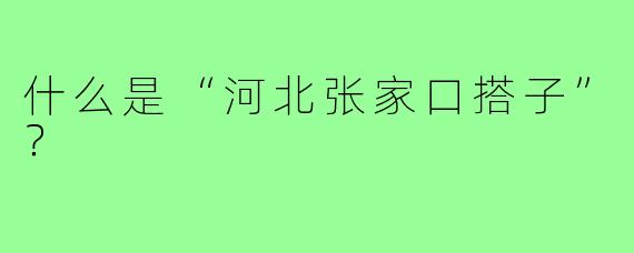 什么是“河北张家口搭子”?