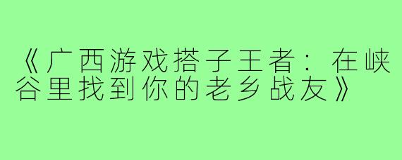 《广西游戏搭子王者:在峡谷里找到你的老乡战友》