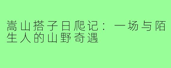 嵩山搭子日爬记:一场与陌生人的山野奇遇