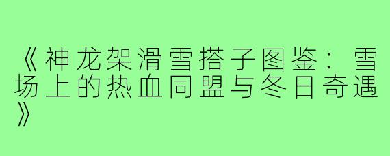 《神龙架滑雪搭子图鉴:雪场上的热血同盟与冬日奇遇》