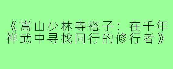 《嵩山少林寺搭子：在千年禅武中寻找同行的修行者》