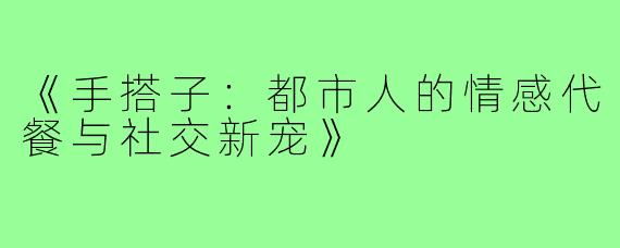 《手搭子:都市人的情感代餐与社交新宠》