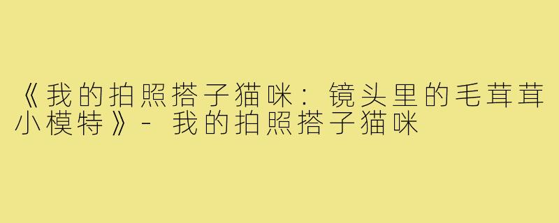 《我的拍照搭子猫咪：镜头里的毛茸茸小模特》