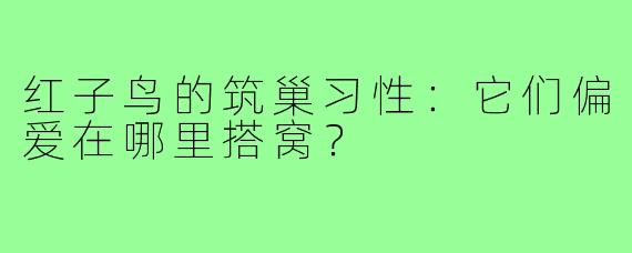 红子鸟的筑巢习性:它们偏爱在哪里搭窝?