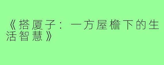 《搭厦子:一方屋檐下的生活智慧》
