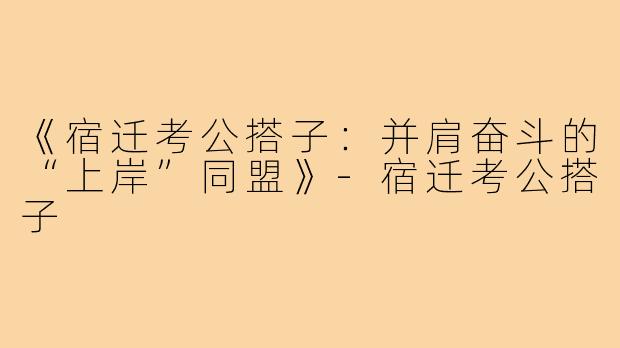 《宿迁考公搭子：并肩奋斗的“上岸”同盟》-宿迁考公搭子