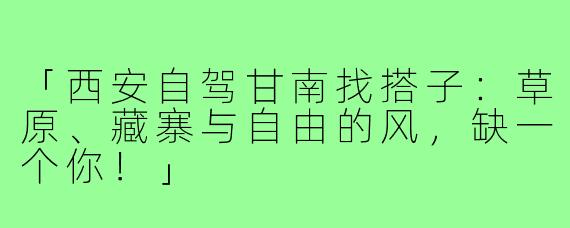 「西安自驾甘南找搭子：草原、藏寨与自由的风，缺一个你！」