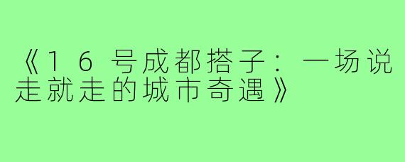 《16号成都搭子:一场说走就走的城市奇遇》